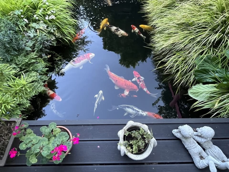 Hightown Gardens